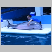 Dolphin_getting_a_check_up_by_prettynikkers.jpg