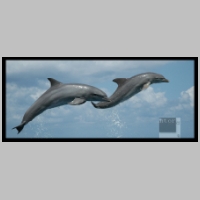Flying_Dolphins_by_ntora.jpg