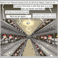 conspiracychicken.jpg