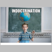indoctrination-flat-earth-matters-because-when-something-is-true-and-19270512.png